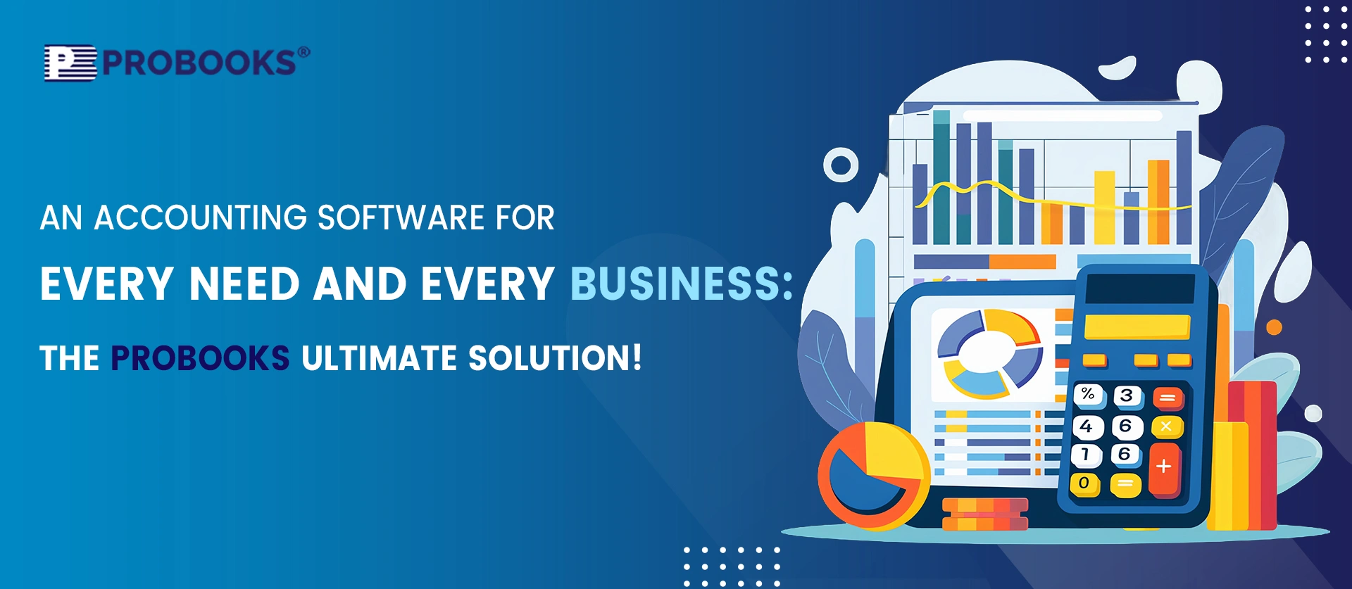 An Accounting Software for Every Need and Every Business: The Probooks Ultimate Solution! 