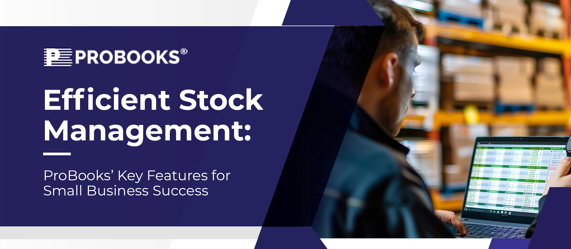 Efficient Stock Management: ProBooks Key Features for Small Business Success