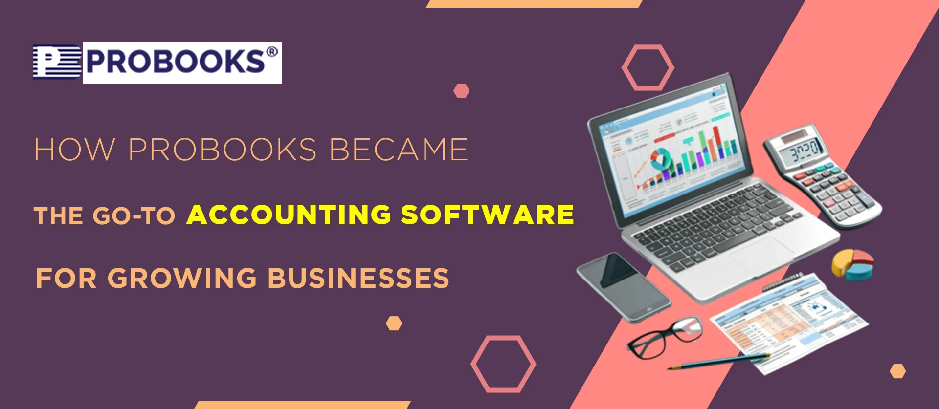 How Probooks Became the Go-To Accounting Software for Growing Businesses